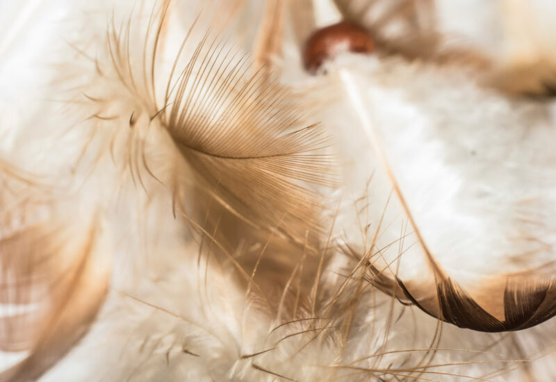 SKRIFTLIG KANALISERING