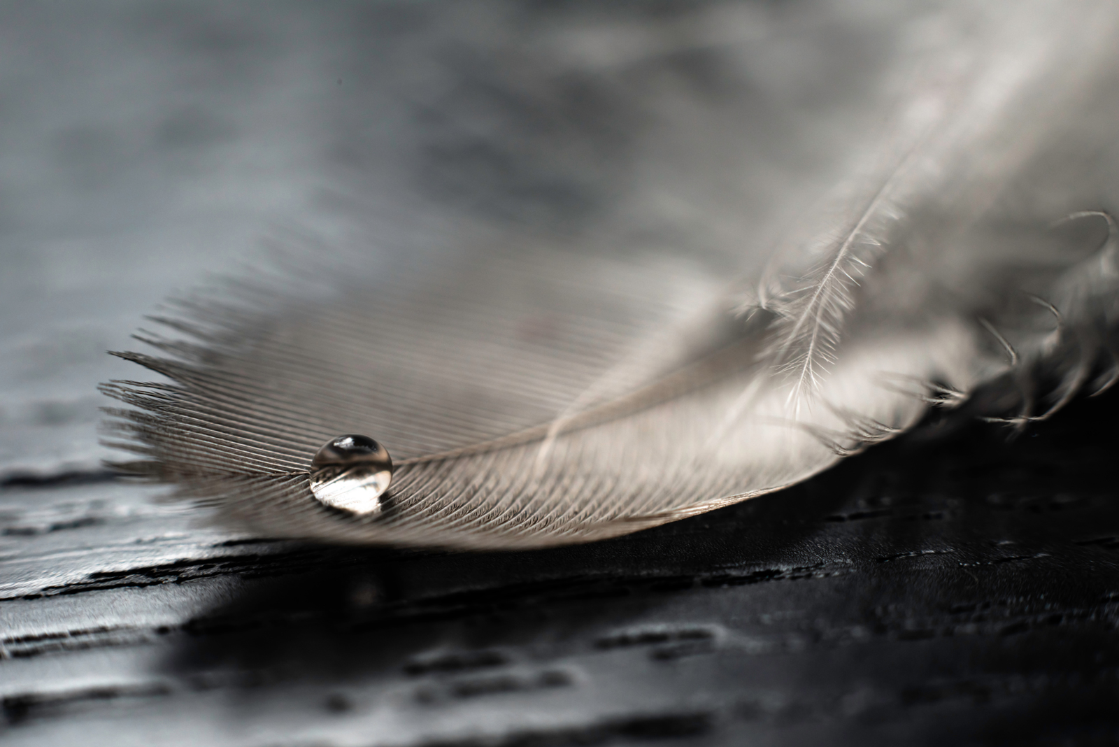 Lær sammen med andre på kurser hos Anne Windfeldt