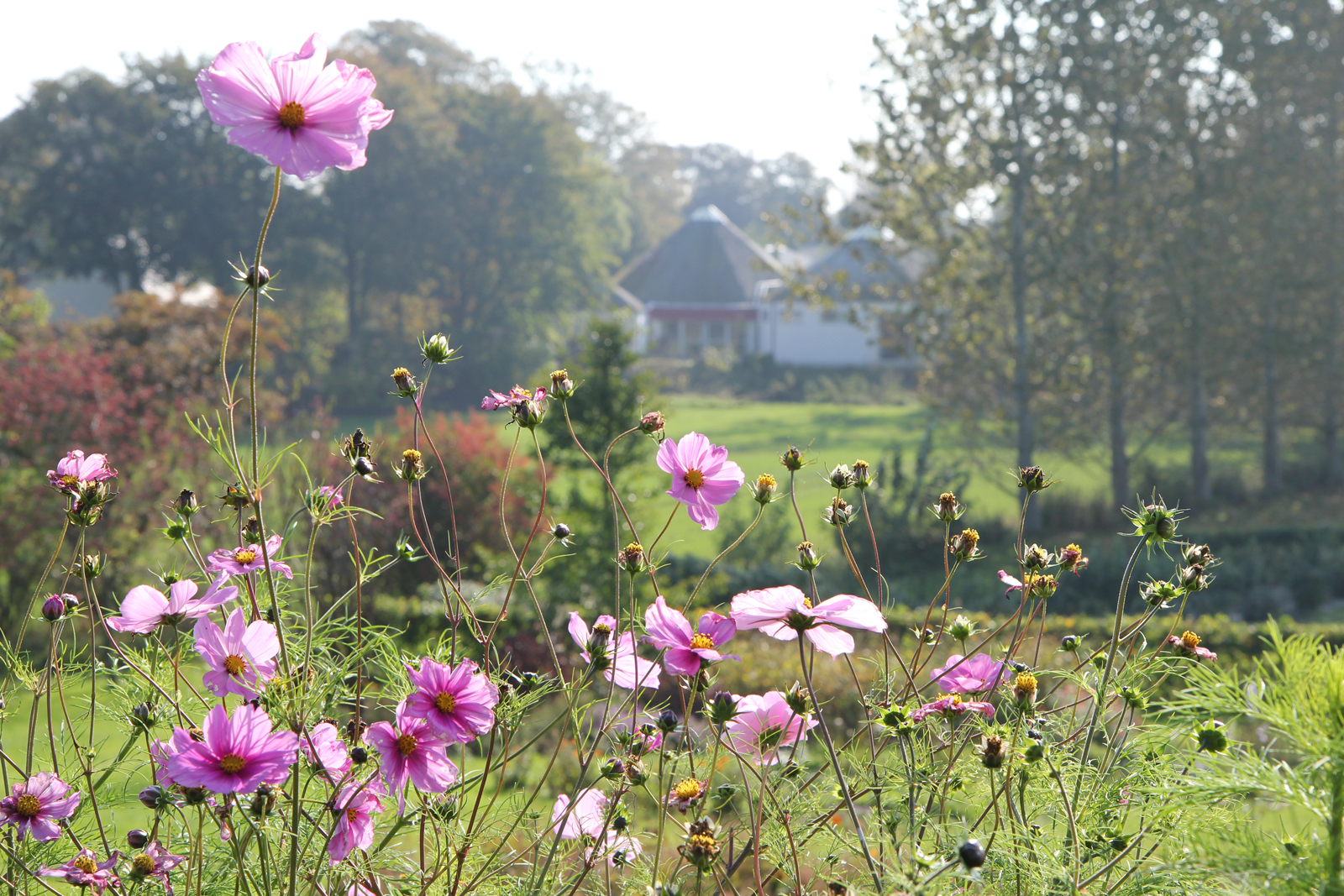 Meditation er essens i livet og naturen på Tigerens Rede