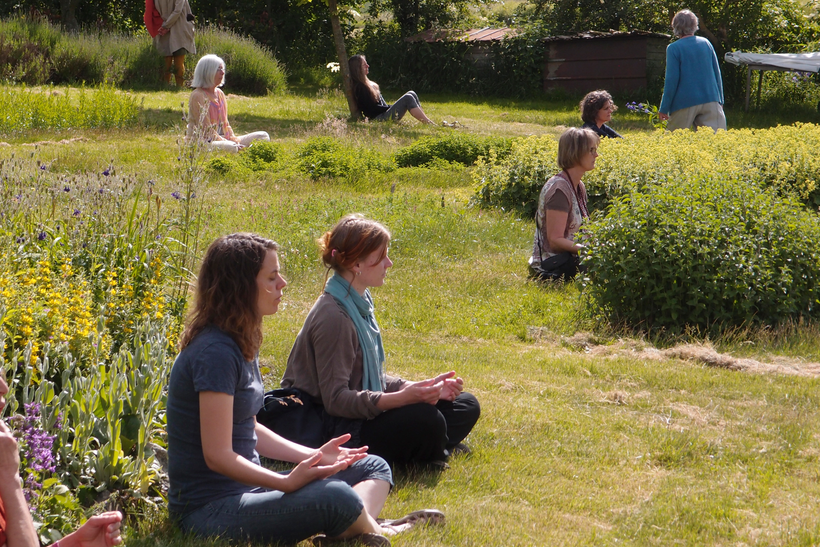Meditation i urtehaven på Tigerens Rede