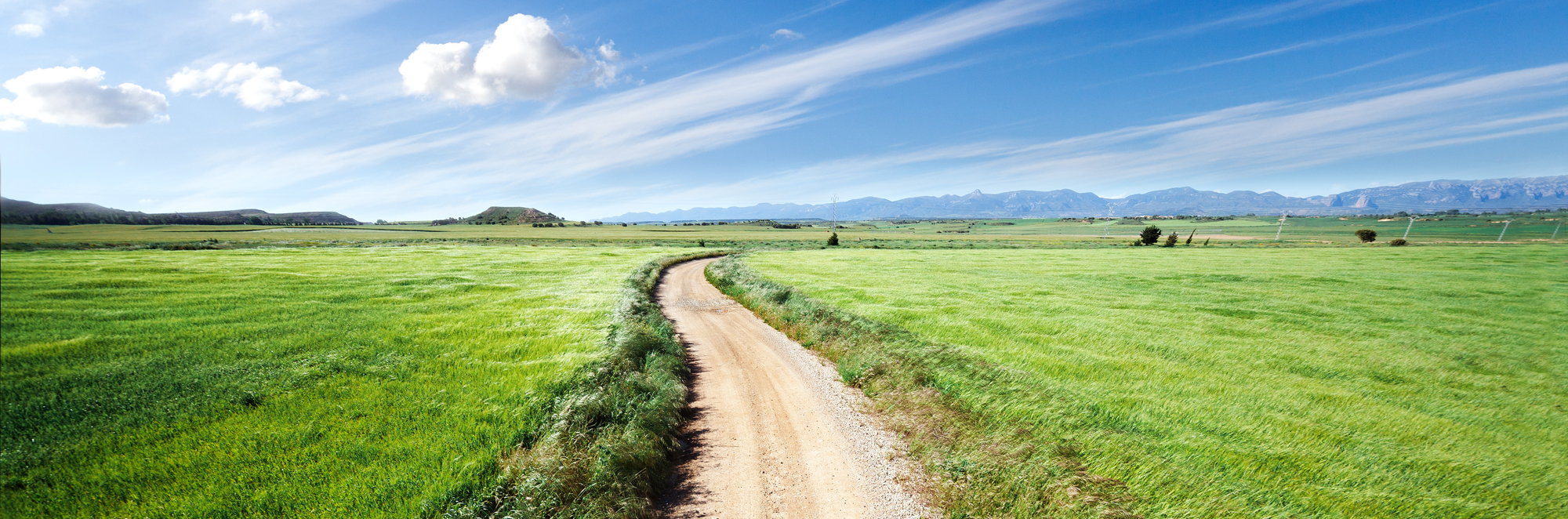 I Anne Windfeldts transformerende og individuelle forløb kan du skabe klarhed og retning i dit liv